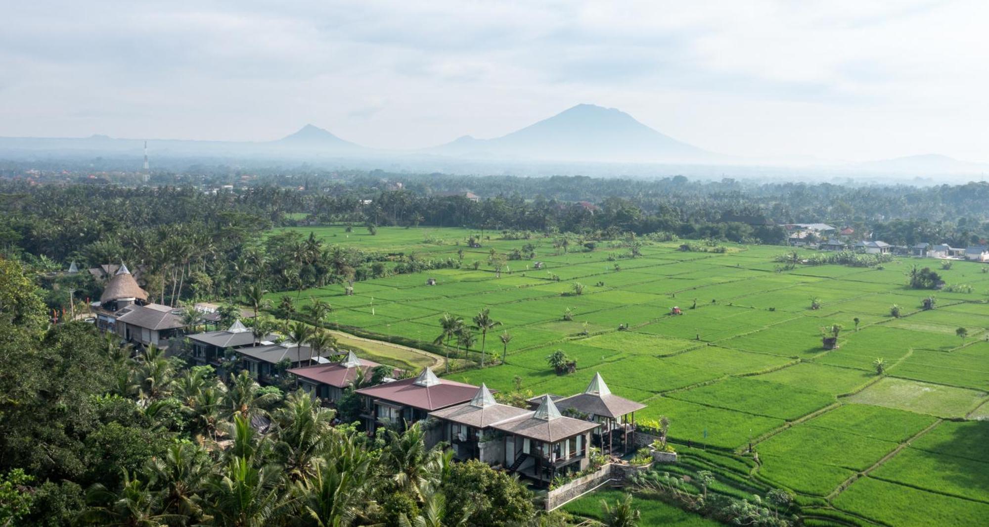 Gdas Bali Health And Wellness Resort - Adult Only 乌布 外观 照片